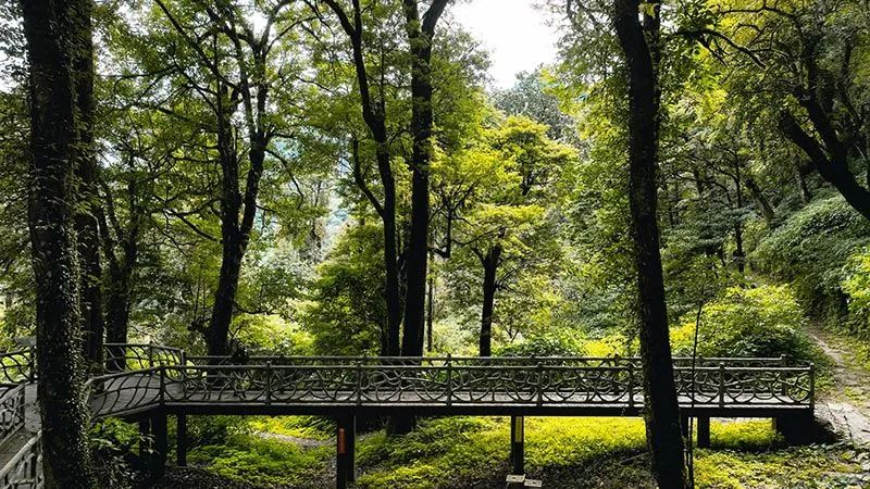 怒江活動策劃：有一種生活叫云南的怒江丨一起去姚家坪，上一堂自然課